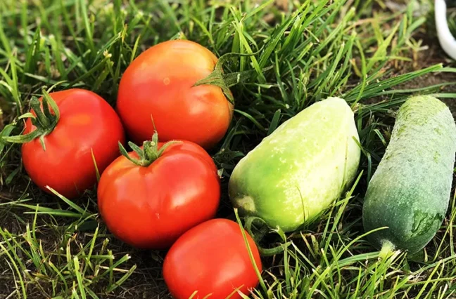 There are many variations of passages of Lorem Ipsum available, but majority have suffered teration in some form, by injected humour, or randomised words which don't look even slight believable. If you are going to use a passage of Lorem Ipsum.