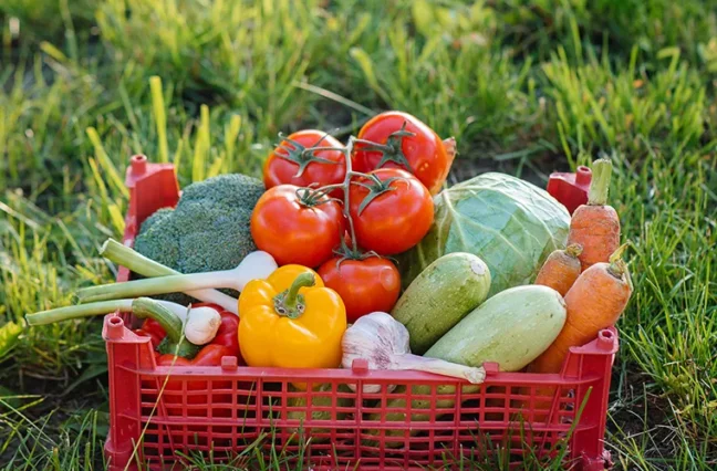 There are many variations of passages of Lorem Ipsum available, but majority have suffered teration in some form, by injected humour, or randomised words which don't look even slight believable. If you are going to use a passage of Lorem Ipsum.